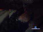 EllisShy bongacams livecam show performer room profile