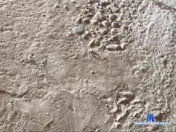 sexyboy715 bongacams live cam performer profile