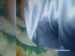 INDIVIDUMM-MG bongacams livecam show performer room profile