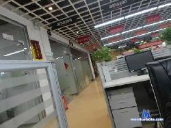 eric202066681 bongacams live cam performer profile