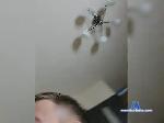 NoterFuckHer bongacams livecam show performer room profile