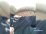 MaxoTop bongacams livecam show performer room profile