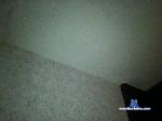 dpgsex27a bongacams livecam show performer room profile