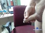 Pinnini bongacams livecam show performer room profile