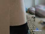 Sexiparochka bongacams livecam show performer room profile