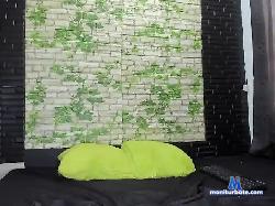 elgattohot bongacams live cam performer profile