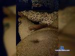 puntol2 bongacams livecam show performer room profile