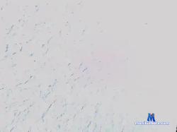 Jonbigben bongacams live cam performer profile