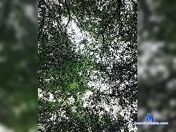 Sis69x1 bongacams live cam performer profile