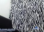 sebasbigcock bongacams livecam show performer room profile