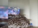 goodxBoyy bongacams livecam show performer room profile