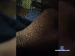 Djonikson10 bongacams livecam show performer room profile