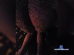 Dominanteduro bongacams livecam show performer room profile