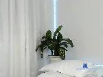 ethanvm bongacams livecam show performer room profile