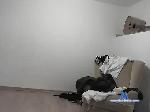 1Alex1c bongacams livecam show performer room profile