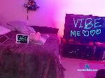 WildOcelot bongacams livecam show performer room profile