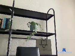 Hamiltonvip bongacams live cam performer profile