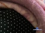 Kkrolik12 bongacams livecam show performer room profile