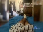Joshlovsmilfs69 bongacams livecam show performer room profile