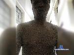 wilian03 bongacams livecam show performer room profile