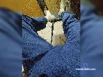 Rekrent1990 bongacams livecam show performer room profile