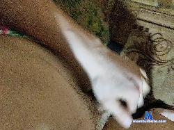 Rob0010 bongacams live cam performer profile