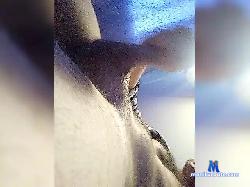 TraHER159 bongacams live cam performer profile