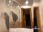 SexyGirl00 bongacams livecam show performer room profile