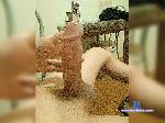 Azizbek21 bongacams livecam show performer room profile