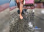 sexi-buh bongacams livecam show performer room profile