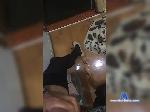 Vladik007a bongacams livecam show performer room profile