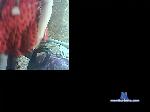 pyshkaonlai bongacams livecam show performer room profile