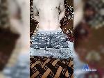 GarriTreat bongacams livecam show performer room profile