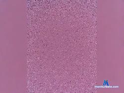 Evjeniya-ruso bongacams live cam performer profile