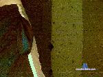 danisden7707 bongacams livecam show performer room profile
