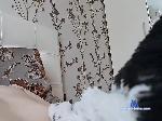 laki22333 bongacams livecam show performer room profile