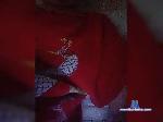 Milachka155 bongacams livecam show performer room profile