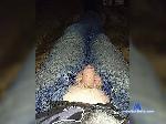 mixailo666 bongacams livecam show performer room profile