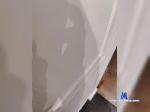 Mr-dod bongacams livecam show performer room profile