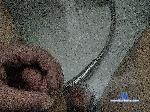 Serg69x bongacams livecam show performer room profile
