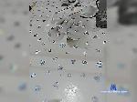 Joni-2033 bongacams livecam show performer room profile