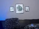 Dannyjenkinso bongacams livecam show performer room profile