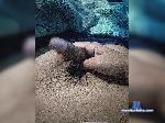 xxytherry1 bongacams livecam show performer room profile