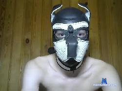 WolfFurry bongacams live cam performer profile