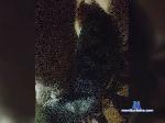 Esteban-2467 bongacams livecam show performer room profile