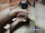 tttsexboy bongacams livecam show performer room profile