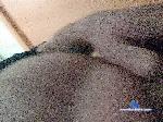 Nsktosha21 bongacams livecam show performer room profile