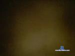 Pussu777 bongacams livecam show performer room profile