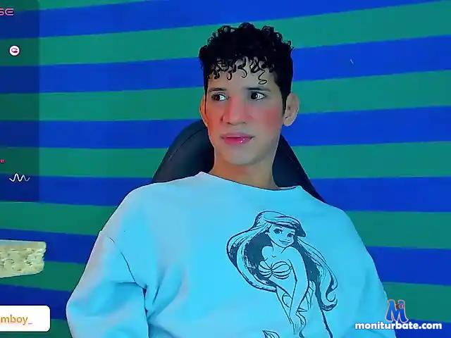 Ariel-Femboy bongacams performer shemale