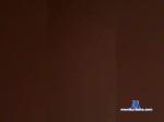 bisexbeard bongacams livecam show performer room profile